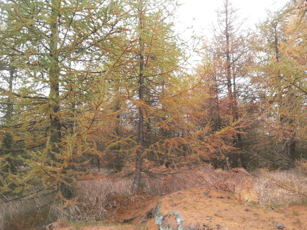 Sneznik Exterior foto