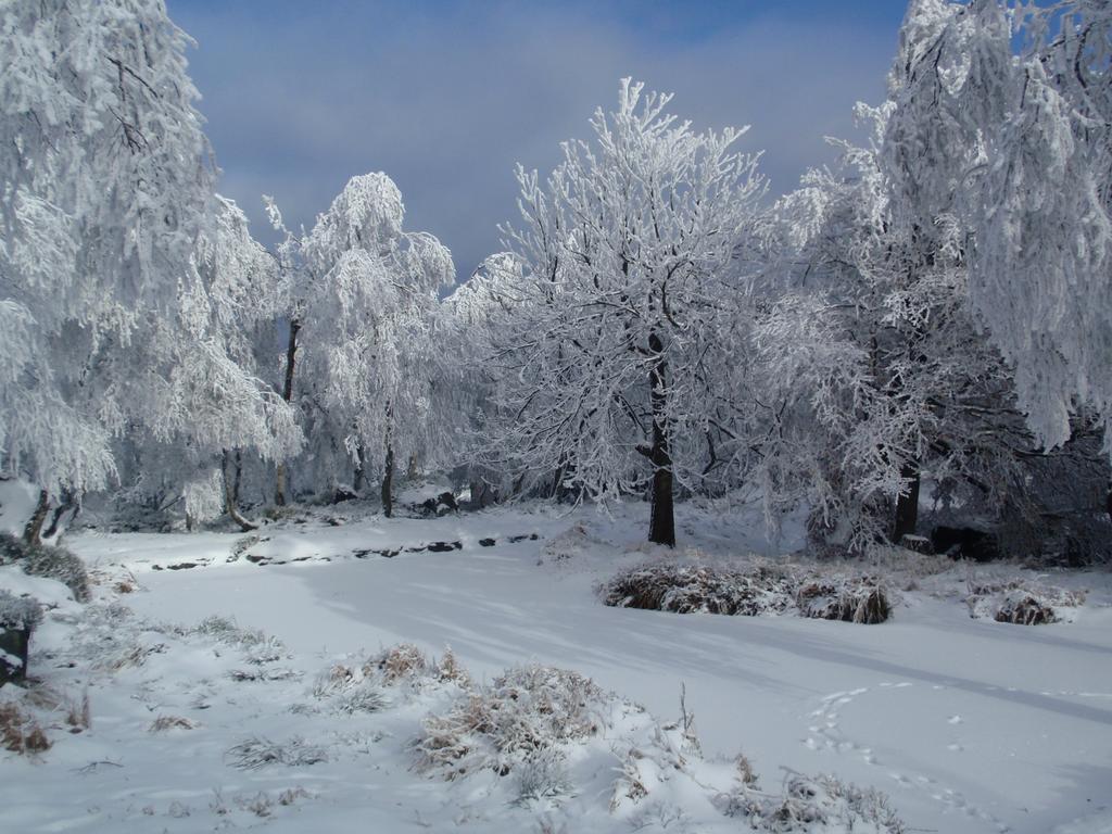 Sneznik Exterior foto